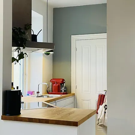 Apartmentincopenhagen 1593 公寓 哥本哈根